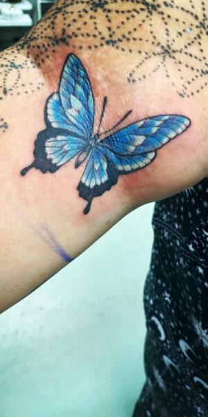 Blue Butterfly Tattoo Design Blue butterfly tattoo with detailed wings and soft shading on the arm