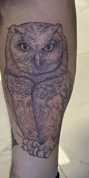 Owl Tattoo Artwork Detailed owl tattoo design featuring realistic shading