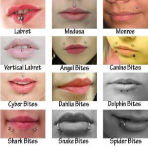 Visual guide showing different lip piercing styles including labret, medusa, angel bites, and snake bites