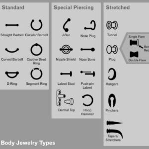 Chart displaying common body jewelry types including barbells, hoops, studs, and plugs