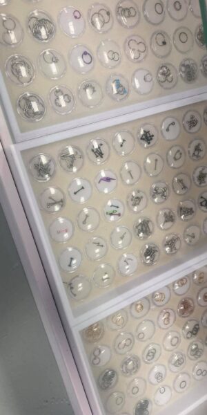 Piercing jewelry organized by design and size for professional fittings