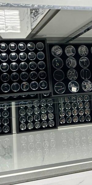 Piercing jewelry inventory organized in trays for professional body piercings